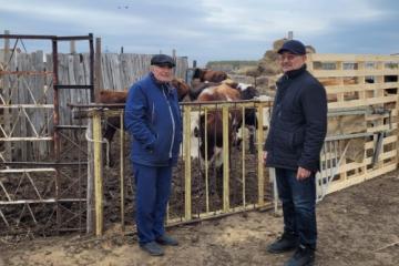 Предприниматель из Костанайского района предоставил возможность содержать скот жителям затопленных домов на своей ферме