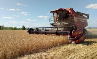 Уборка зерновых в нашем регионе завершена