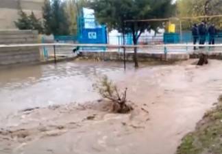 Целый аул оказался под водой в Туркестанской области