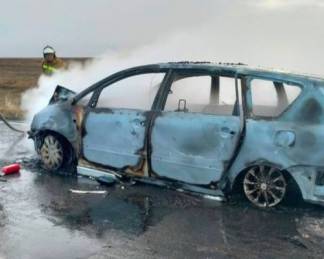 Автомобиль сгорел после столкновения с коровой на трассе в Актюбинской области