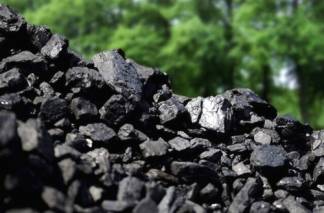 В Казахстане уголь может подорожать сразу на 24%