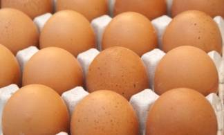 Минсельхоз Казахстана вернул 36 тысяч яиц в Россию
