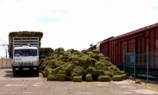 «Казахстан темир жолы» требует денег с волонтеров за отправку сена в засушливые регионы