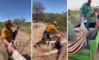 «Для них это отдых», - экологи о казахстанцах, убивающих диких животных в Африке