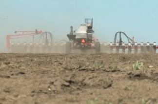 Пропала солярка: актюбинские фермеры не могут закончить сбор урожая