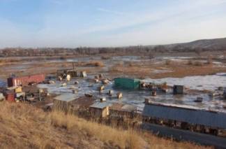 Собачий приют пострадал при прорыве плотины в Алматинской области