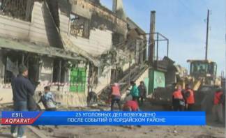 25 уголовных дел возбуждено после событий в Кордайском районе