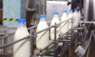 Наладят производство молока и построят скотобойни в Атырау