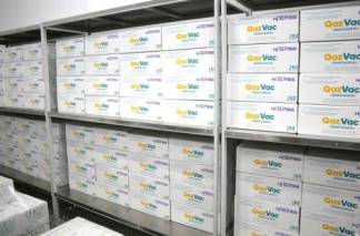 Казахстан отправил Кыргызстану 25 000 доз вакцины QazVac