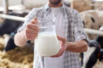 675 тысяч тонн молока произведут в СКО до конца года