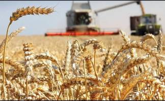 В Актюбинской области подвели итоги работы по сбору урожая в текущем году