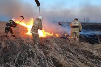 Поджигающих сухостой фермеров предложили лишать земельных участков