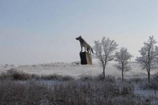 Самый большой памятник волку установили в Улытау