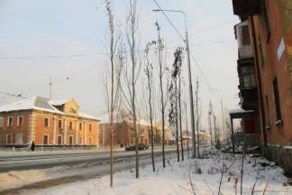 Усть-Каменогорск зазеленеет… в январе